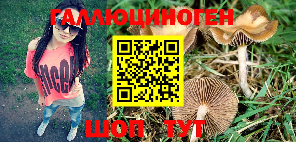 Галлюциногенные грибы Magic Shrooms Гулькевичи